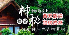 高清黄色网站日逼的