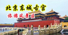 骚逼夹紧视频中国北京-东城古宫旅游风景区